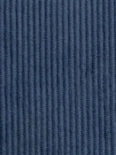 Wales Denim 412024 PK Lifestyles Fabric